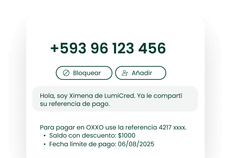 Fraude en referencia de pago LumiCred